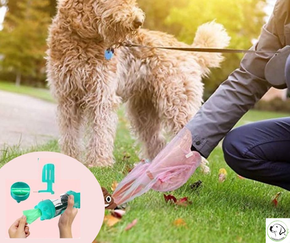 Gourde pour chien I MagicBottle™