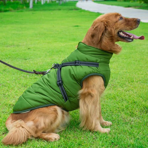 manteau-pour-chien-vert