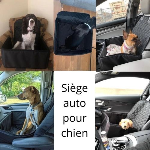 siège-auto-pour-chien