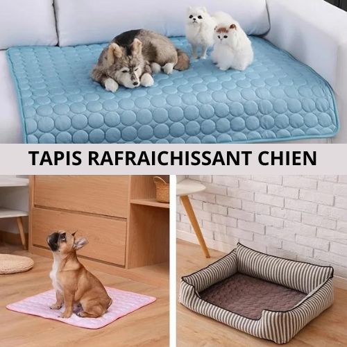 Tapis rafraichissant chien |  Freshy™