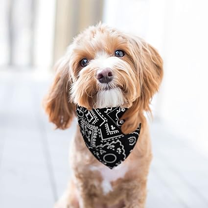 bandana-chien-noir