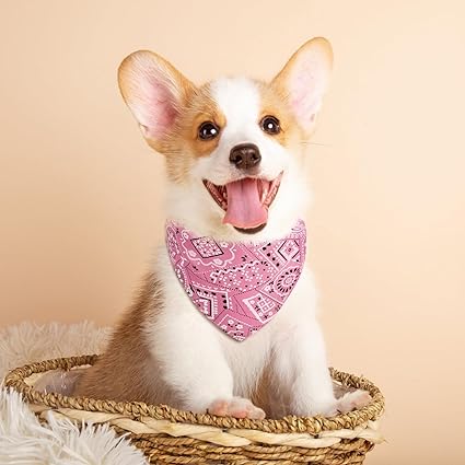 bandana-chien-rose