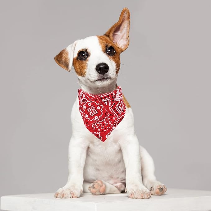 bandana-pour-chien-rouge