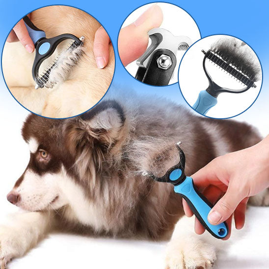 brosse-pour-chien-poils