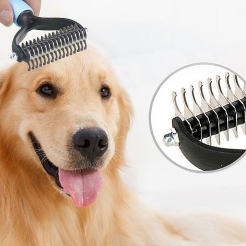 brosse-pour-chien