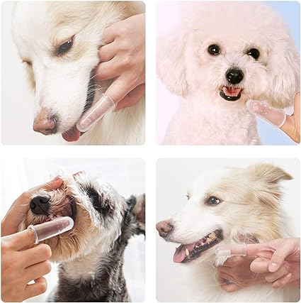 brosse-a-dents-pour-tous-chiens