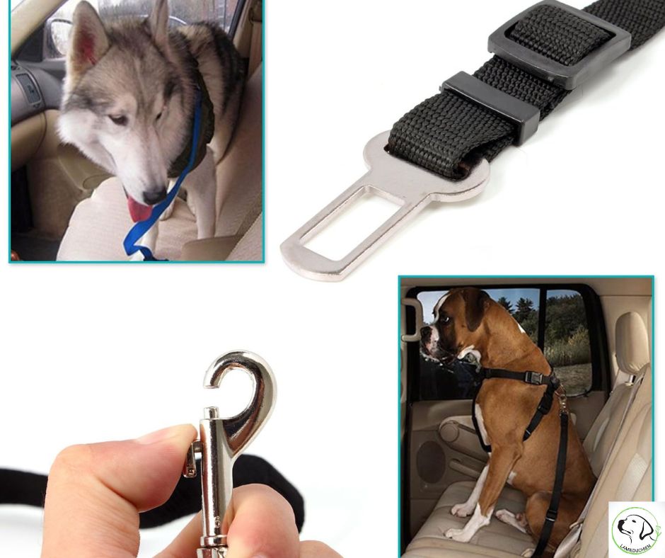 ceinture-de-sécurité-chien-noir