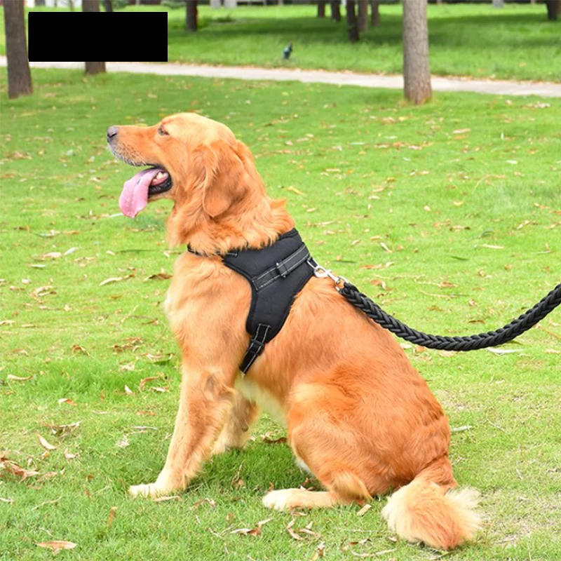 harnais-pour-chien-couleur-noire