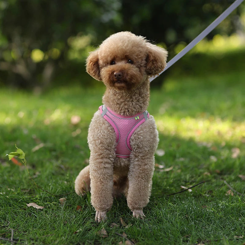 harnais-pour-petit-chien-rose