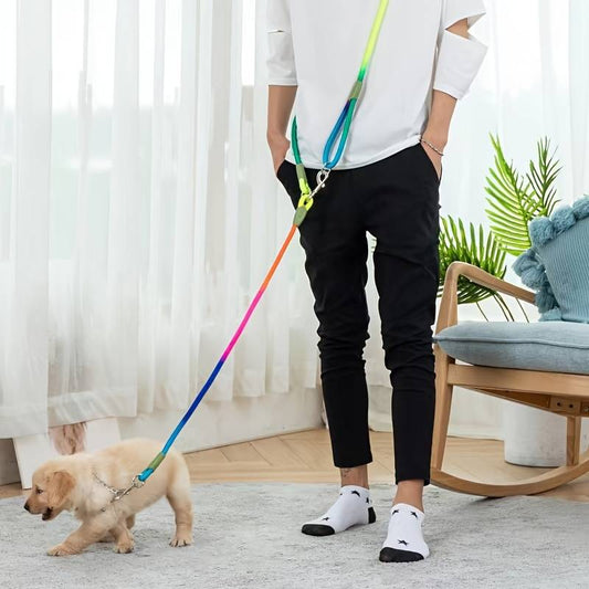 laisse-pour-chien-multi-couleur