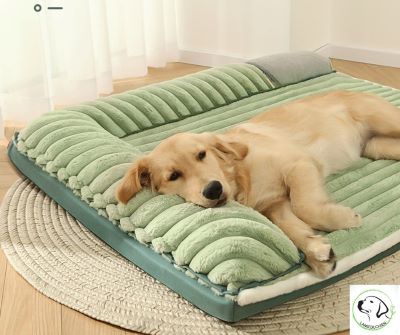 lit-chien-vert-confortable