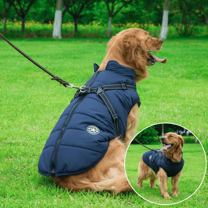 manteau-pour-chien-bleu-marine