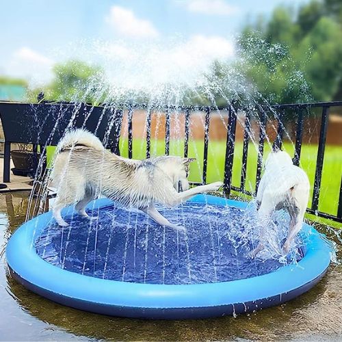 Piscine pour chien à jets d'eau I Pool dog™