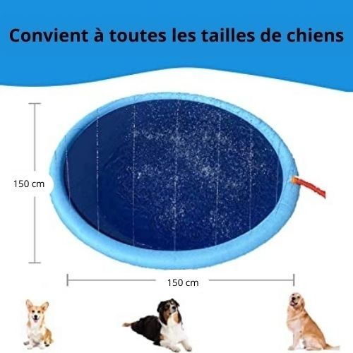 piscine-chien-taille