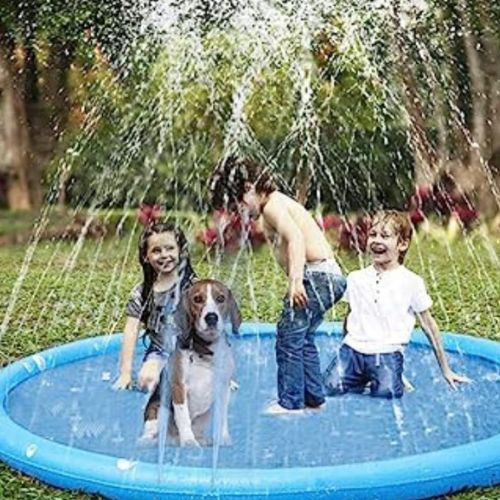 piscine-pour-chien-à-jets-d'eau