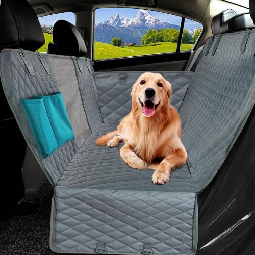 protection-voiture-chien-grise