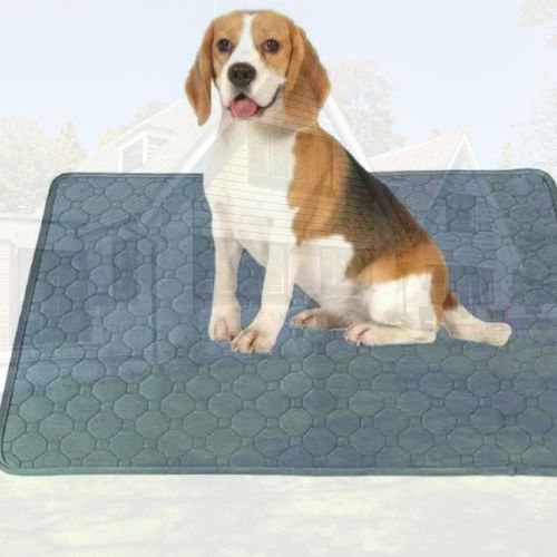 Tapis rafraichissant chien |  Freshy™