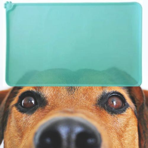 tapis-gamelle-pour-chien-vert