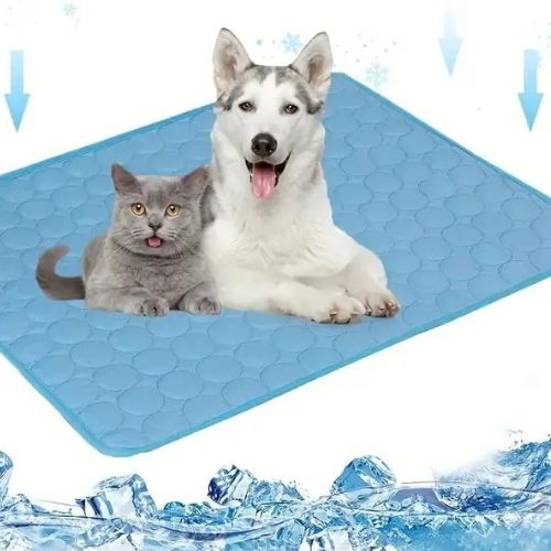 tapis-rafraichissant-chien-bleu