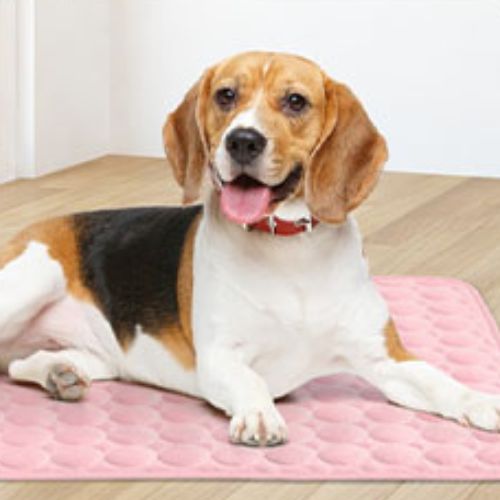 tapis-rafraichissant-chien-rose