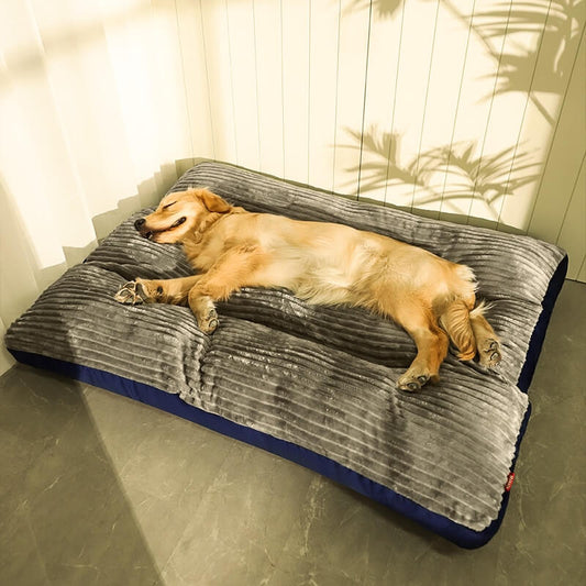 coussin-chien-bleu marine